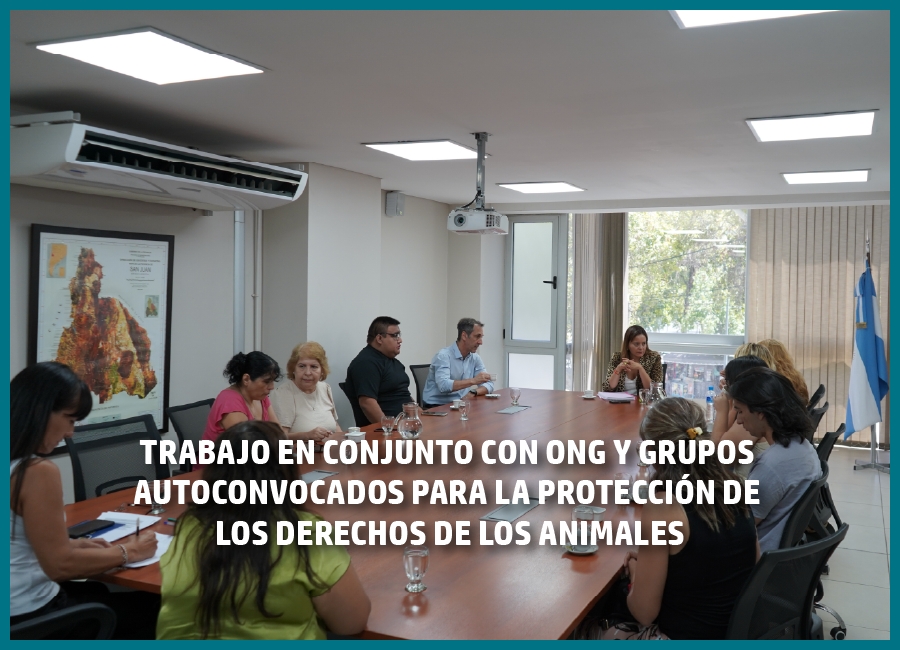 La Defensoría del Pueblo trabajará junto a ONG y grupos autoconvocados en la protección de los derechos de los animales